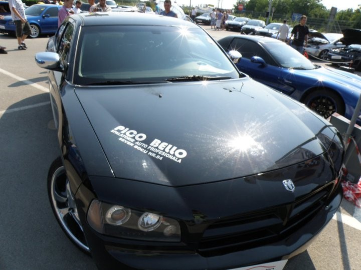 Spalatorie Si Cosmetica Auto Pico Bello Pecica Romania